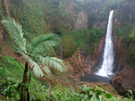 “Catarata Del Toro” Waterfall    