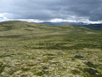 Dovrefjell National Park   
