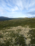 Dovrefjell National Park    