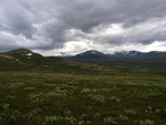 Dovrefjell National Park    
