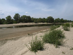 Maritsa River    