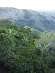 Monteverde region   